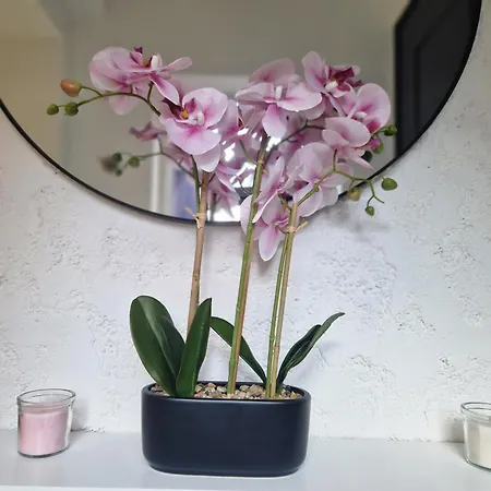 Duplex Hypercentre Apartmán Pont-Audemer